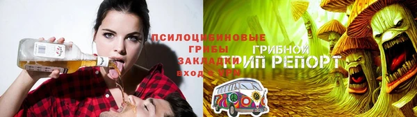 МДПВ Абинск