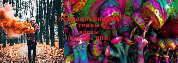 МДПВ Абинск
