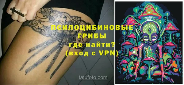 прущие крисы Абаза
