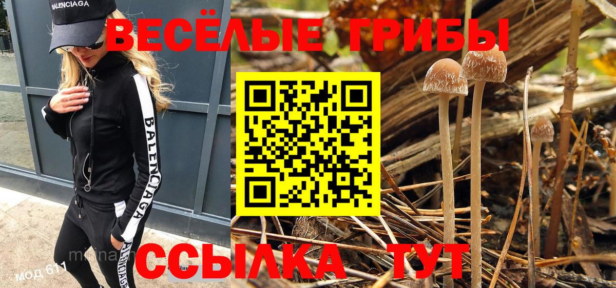 Псилоцибиновые грибы мухоморы  Вход с VPN  Магнитогорск  Галлюциногенные грибы MAGIC MUSHROOMS 